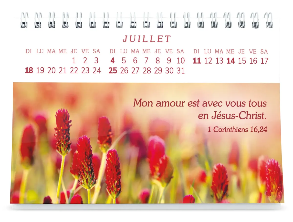 Calendrier Plaisir d'offrir - gros caractères