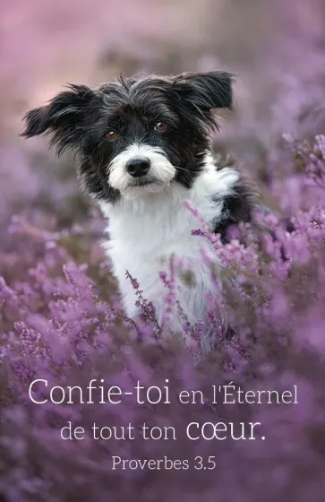 Calendrier format carte de crédit - Chien