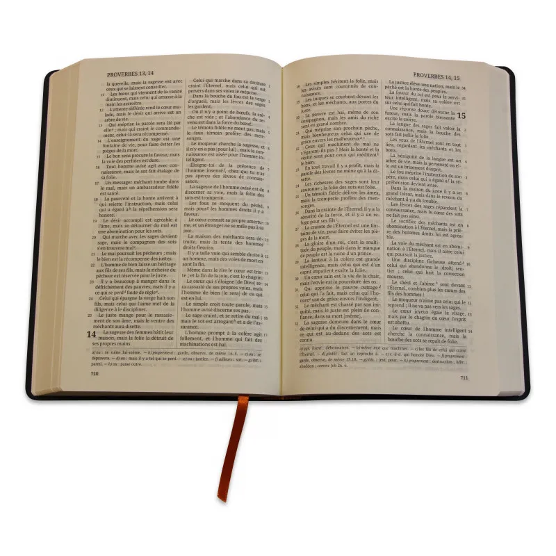 Bible Darby édition de Rolle 2022 - simili cuir bleu foncé souple