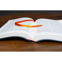 Bible Darby édition de Rolle 2022 - simili cuir bleu foncé souple