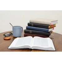 Bible Darby édition de Rolle 2022 - simili cuir bleu foncé souple
