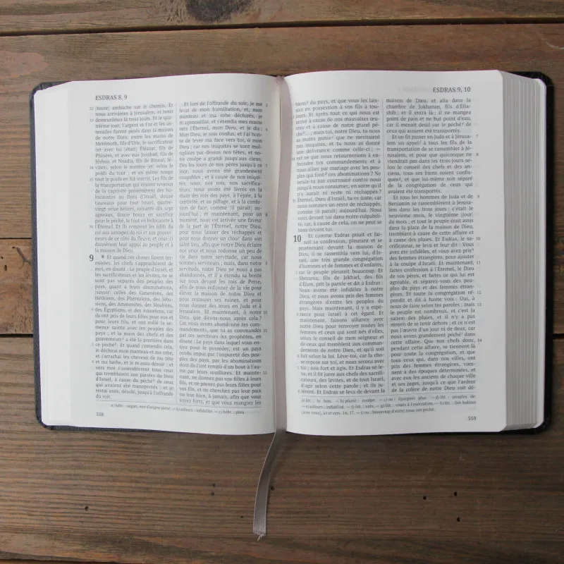Bible Darby édition de Rolle 2023 - Simili cuir noir semi-rigide