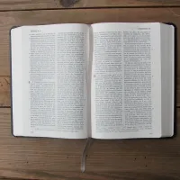 Bible Darby édition de Rolle 2023 - Simili cuir noir semi-rigide