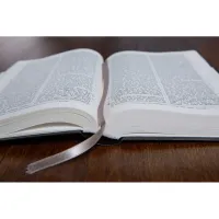 Bible Darby édition de Rolle 2023 - Simili cuir noir semi-rigide