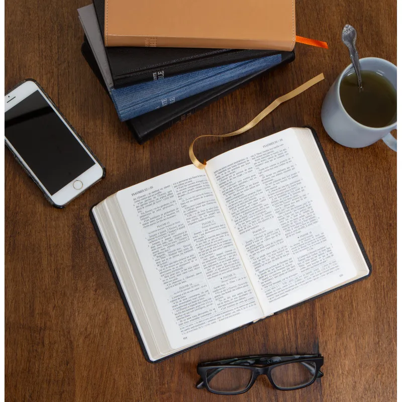 Bible Darby édition de Rolle 2023 - Simili cuir noir semi-rigide