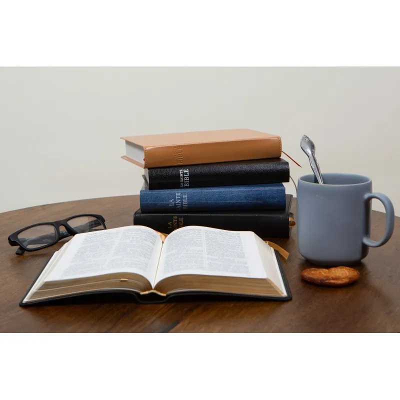 Bible Darby édition de Rolle 2023 - Simili cuir noir semi-rigide