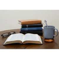 Bible Darby édition de Rolle 2023 - Simili cuir noir semi-rigide