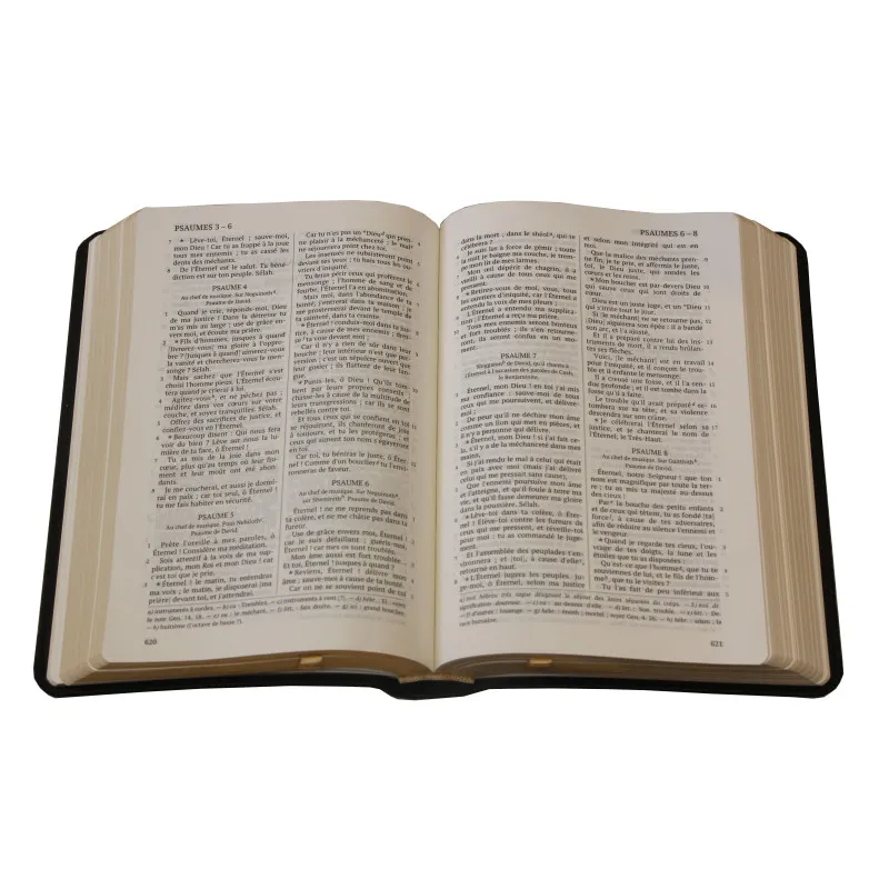 Bible Darby édition de Rolle 2023 - Cuir noir sans rebords