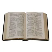 Bible Darby édition de Rolle 2023 - Cuir noir sans rebords