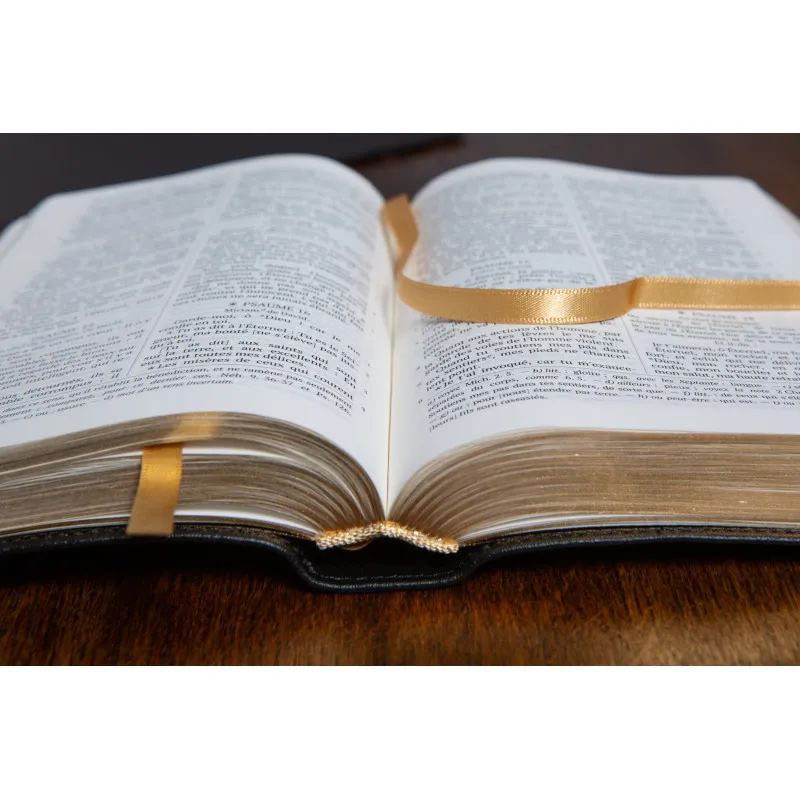Bible Darby édition de Rolle 2023 - Cuir noir sans rebords