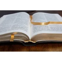Bible Darby édition de Rolle 2023 - Cuir noir sans rebords