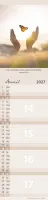 Calendrier Pour Tous - allongé