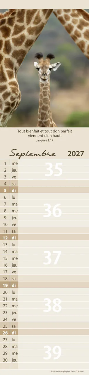 Calendrier Pour Vous - allongé