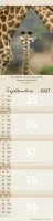 Calendrier Pour Vous - allongé