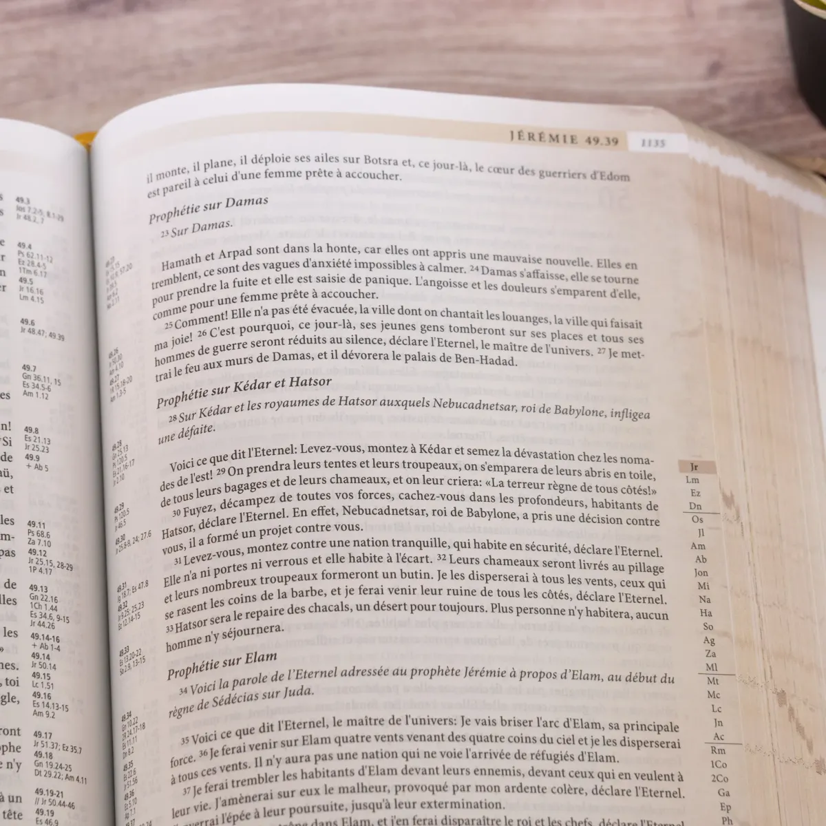 Bible Segond 21 archéologique - couverture souple Vivella café et bronze