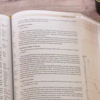 Bible Segond 21 archéologique - couverture souple Vivella café et bronze