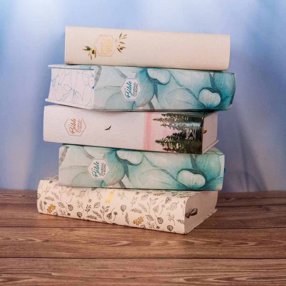 Bible Segond 21 Journal de bord - couverture souple toile blanche