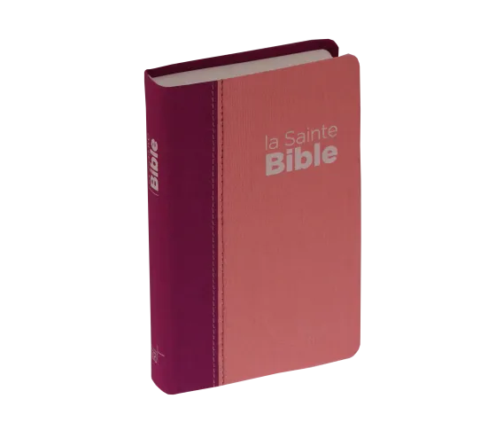 Bible Segond NEG compact, couverture souple, toile duo rose praline/violet fruits des bois
