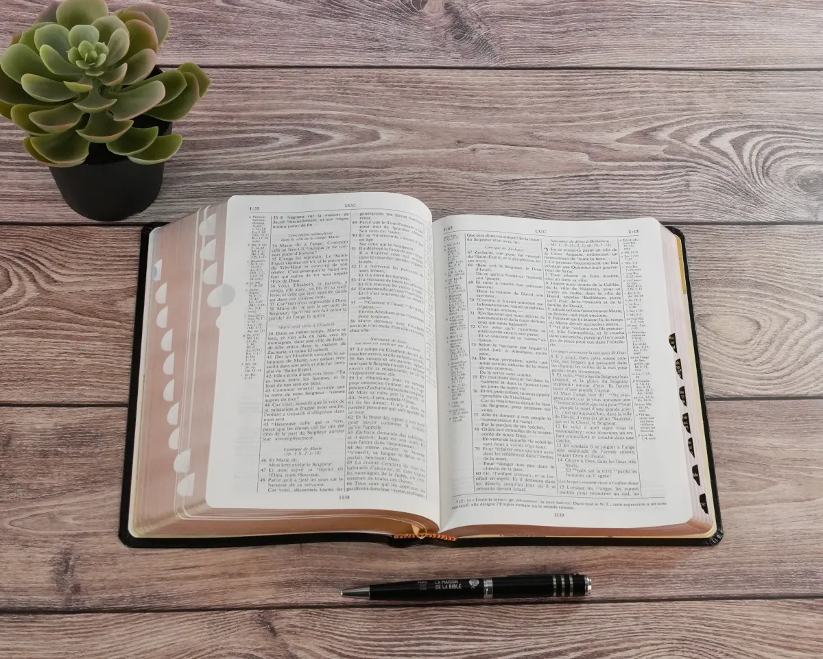 Bible NEG Scofield - fibrocuir noir tranche or onglets - Nouvelle édition