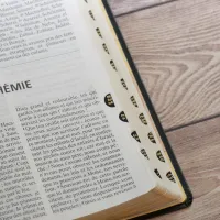 Bible NEG Scofield - fibrocuir noir tranche or onglets - Nouvelle édition