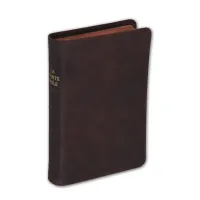 Bible Darby édition de Rolle, format moyen, cuir brun souple, tranche dorée