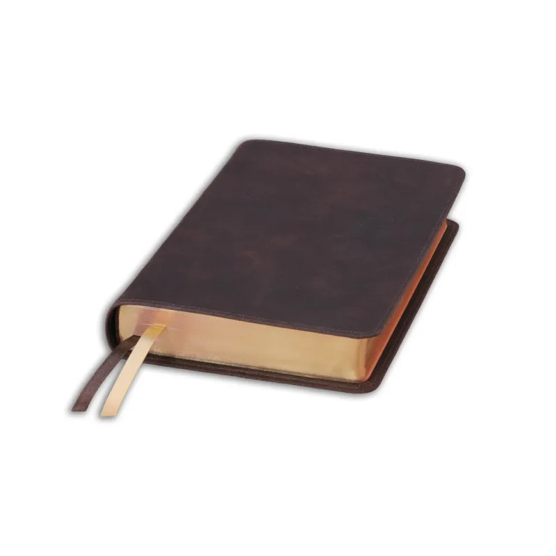Bible Darby édition de Rolle, format moyen, cuir brun souple, tranche dorée