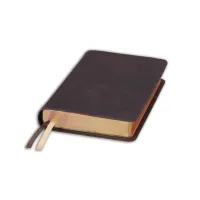 Bible Darby édition de Rolle, format moyen, cuir brun souple, tranche dorée