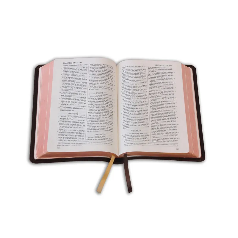 Bible Darby édition de Rolle, format moyen, cuir brun souple, tranche dorée
