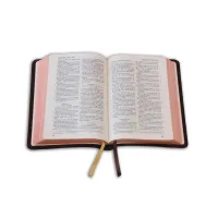 Bible Darby édition de Rolle, format moyen, cuir brun souple, tranche dorée