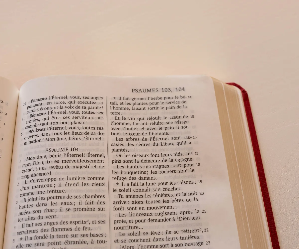 Bible Darby édition de Rolle, format moyen, textile bordeaux, semi-rigide, tranche dorée