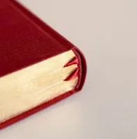 Bible Darby édition de Rolle, format moyen, textile bordeaux, semi-rigide, tranche dorée
