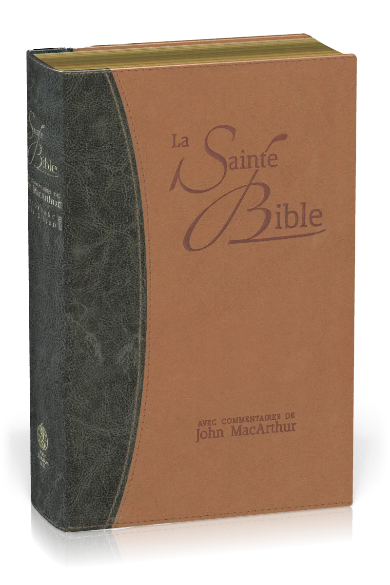 Bible NEG MacArthur - souple similicuir - tranche or duo bleu et beige