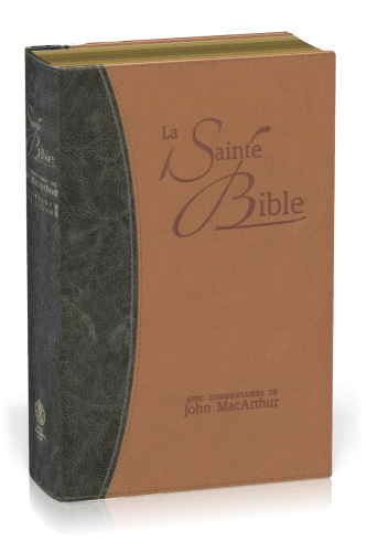 Bible NEG MacArthur - souple similicuir - tranche or duo bleu et beige