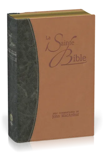 Bible NEG MacArthur - souple similicuir - tranche or duo bleu et beige