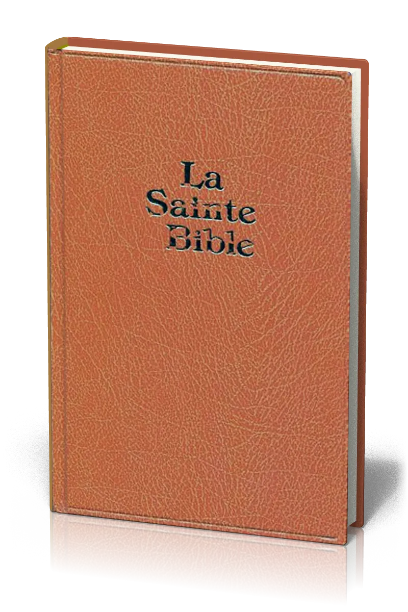Bible Darby grand format skivertex rigide brun clair