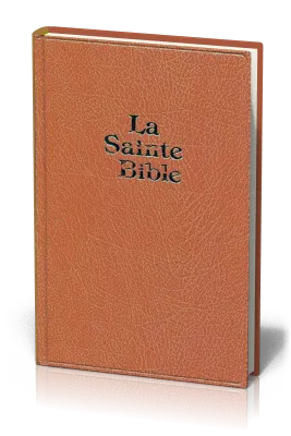 Bible Darby grand format skivertex rigide brun clair