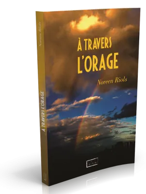 A travers l'orage - Nouvelle édition