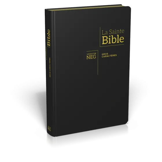 Bible NEG gros caractères souple fibrocuir noir tranche or onglets