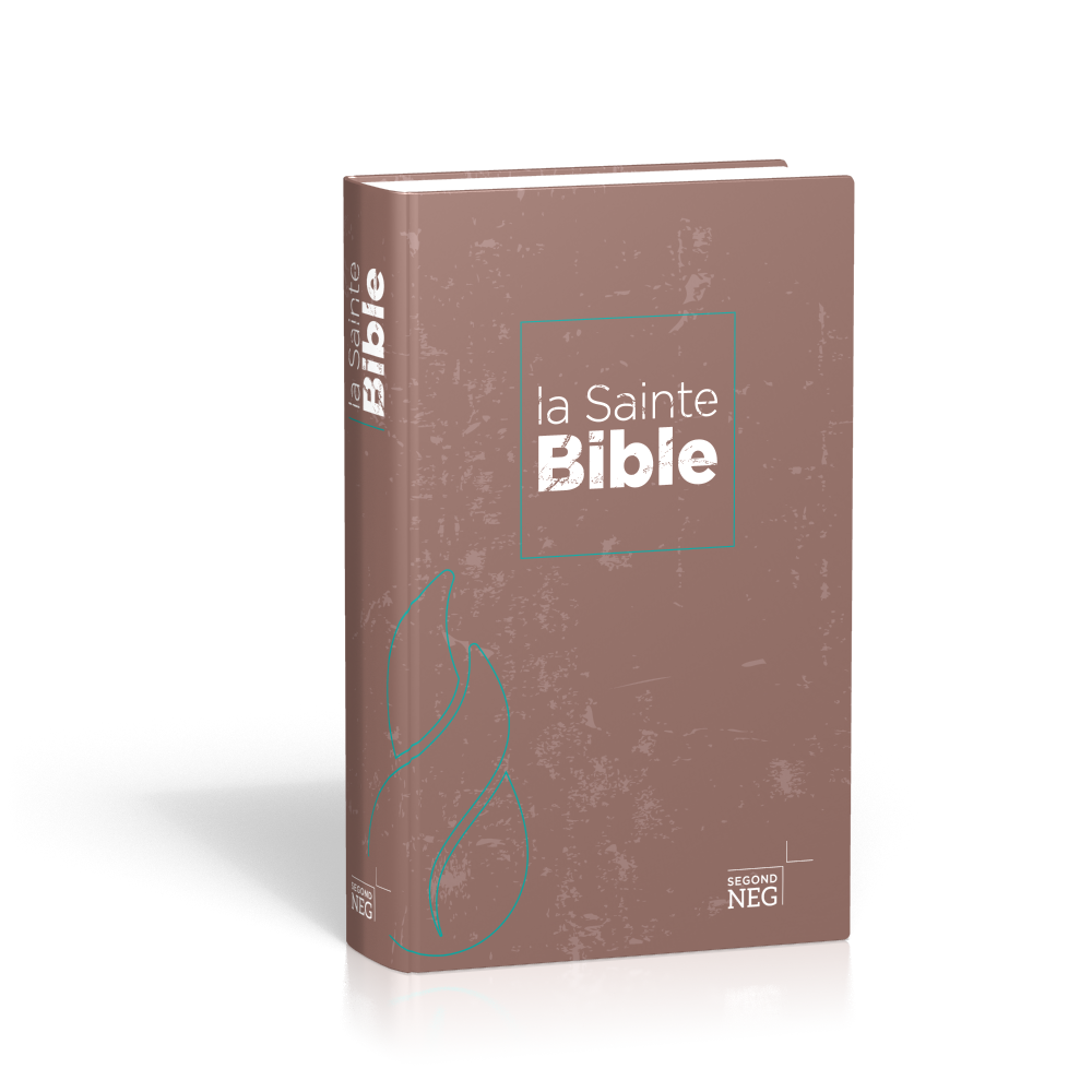 Bible NEG compact rigide illustrée