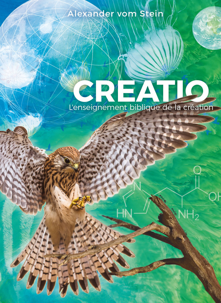 CREATIO - L'enseignement biblique de la création
