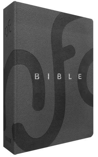 Bible Nouvelle Français courant avec deutérocanoniques - compact souple gris, tranche argentée