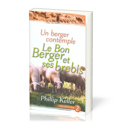 Un berger contemple le Bon Berger et ses brebis