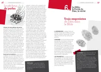 Evangile exposé simplement (L') - Aux musulmans et à tous