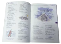 Bible Parole de Vie illustrée par Annie Vallotton (La) sans deutérocanoniques - Nouvelle édition