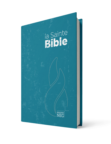 Bible NEG - compact rigide bleue
