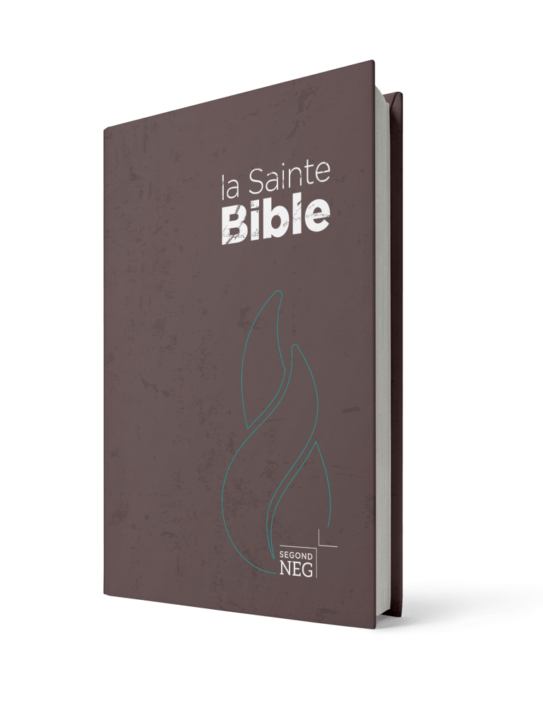 Bible NEG compact rigide brune