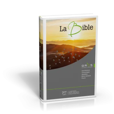 Bible Segond 21 gros caractères - rigide illustrée