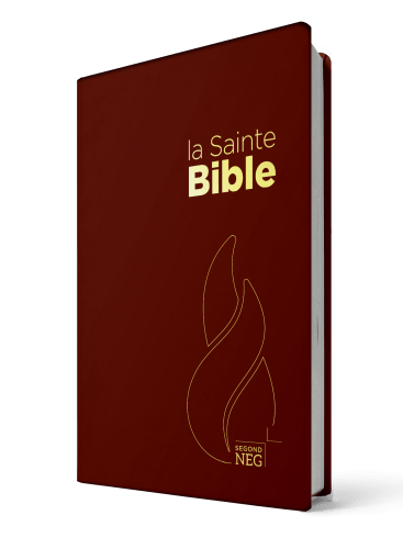 Bible NEG - compact PCV grenat