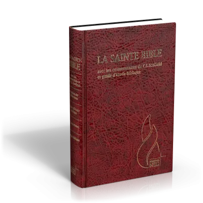 Bible NEG Scofield - rigide grenat