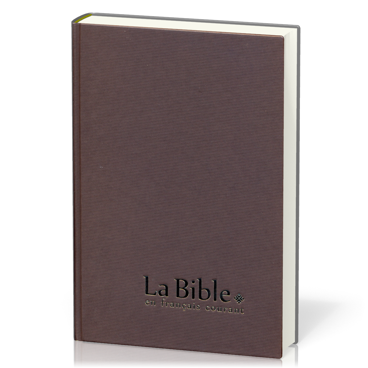 Bible Français courant - gros caractères - couverture rigide brun